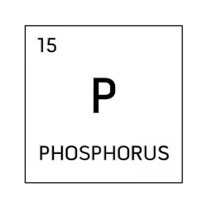 Black and white element cell for phosphorus. Phosphorus Element, Science Symbols, Periodic Elements, Cartoon Body, Atomic Number, Science Stickers, Element Symbols, Medical Anatomy, Fair Projects