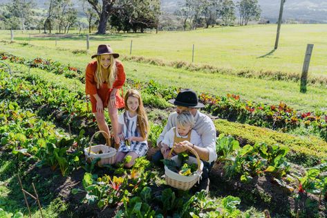 Farm Stay Design, Farm Stay Ideas, Farm Tourism, Green Photoshoot, Farm Photoshoot, Luxury Farm, Modern Farming, Water Theme Park, Farm Visit