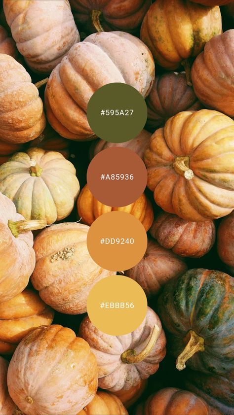 Classic autumn is captured in this warm pumpkin, squash, and olive combo. Try it in the kitchen, living / family room, or master / primary bedroom. #colourpalette #colorpalette #colour #color #palette #harvest #gold #orange #copper #pumpkin #autumn #fall Stuffed Butternut, Autumn Color Palette, Fall Color Schemes, Orange Palette, Colour Trend, Pumpkin Squash, Pantone Colour Palettes, Hex Color Palette, Orange Copper