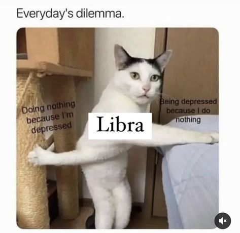 Libra Core, Libra Things, Infj Intj, October Libra, Funny Happy Birthday Song, Libra Art, Libra Life, Libra Quotes Zodiac, Libra Zodiac Facts