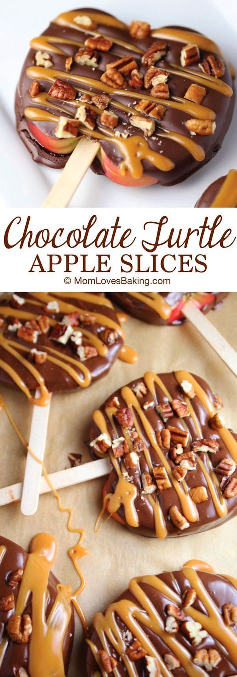 Chocolate Turtle Apple Slices are thick slices of Fuji apples covered in melted chocolate, drizzled with caramel and topped with nuts. Turtle Apple Slices, Chocolate Turtle, Jul Mad, Healthy Appetizer, Chocolate Turtles, Recipes Yummy, Easy Appetizers, Thanksgiving Treats, Recipes Delicious