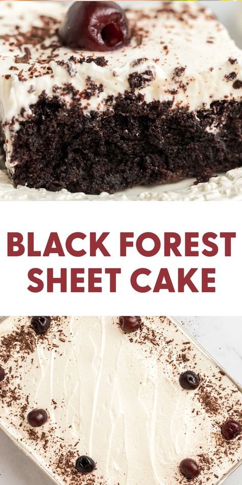 Black Forest Sheet Cake Black Forest Cherry Cake Recipe, Forest Sheet Cake, Cake Simple Recipe, Black Forest Cherry Cake, Black Forest Cake Recipe, Cake Simple, Chocolate Sheet Cake, Black Forest Cake, Sheet Cake Recipes