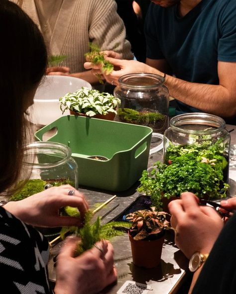 🍁Autumn is finally here and what better time to announce that our TERRARIUM WORKSHOPS are back! 🐿️Meet us Friday,  Sept 27 at our friends @butter_coffeeshop | Dorobanti for another green session!🌿🌿🌿 🍄in other news: we changed our workshop dedicated glass recipient to a bigger bottle with a cork cap, and we added red mushroom miniatures to the already beloved Kodama figurines. 🧰 as usual, all materials and guidance are included!  You will join us for a cute and warm gathering and you'll lea... Terraria Tips, Terrarium Workshop, Building Workshop, Red Mushroom, Big Bottle, Summer Activities, Terrarium, Oasis, Coffee Shop