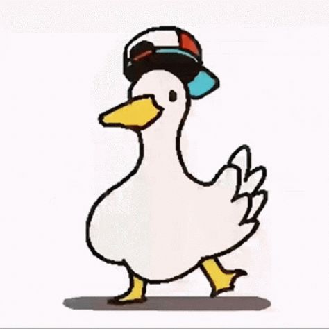 Duck Gif, Dancing Duck, Duck Duck, Animated Gif, Dancing, Gif, White