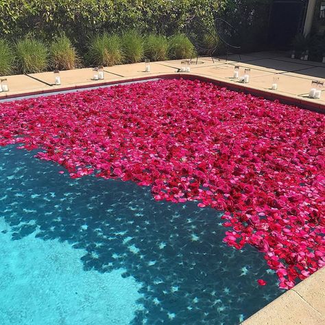 Rose Petal Bath, Pool Boy, Flower Box Gift, Aesthetic Light, Ponds Backyard, Cool Pools, How Beautiful, Rose Petals, Beautiful Images