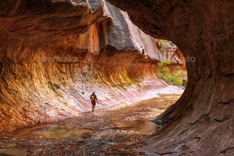 Hikes In Zion National Park, Narrows Zion National Park, The Narrows Zion, Temple Of Sinawava, Photoshop Pictures, Hiking The Narrows, Riverside Walk, Zion Canyon, Zion National Park Utah