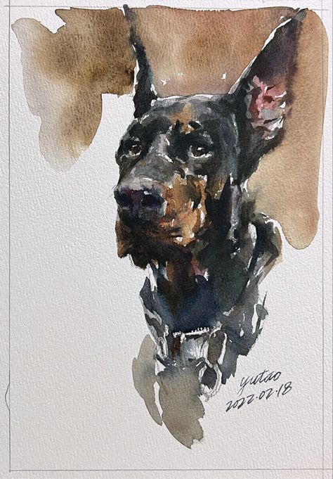 Watercolour Dogs, Colour Eyes, Dog Sketches, Pet Watercolor, Portraits Painting, Sketch Study, Dog Portraits Painting, Watercolor Dog Portrait, Animal Inspiration