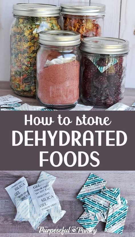 Storing Dehydrated Food, How Long Does Dehydrated Food Last, How To Store Dehydrated Fruit, Dehydrated Recipes Meals, How To Store Dehydrated Food, Dehydrated Food Storage, Dyhrated Food Recipes, Motorbike Camping, Things To Dehydrate