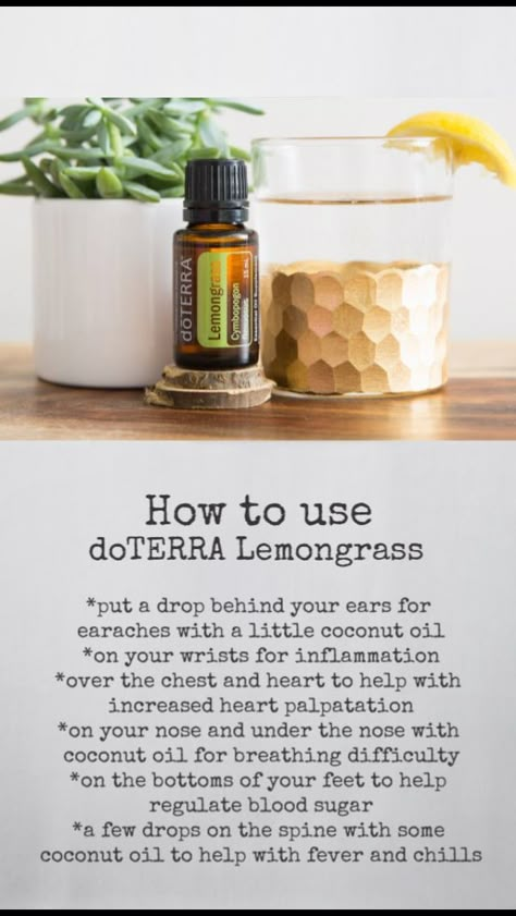 Lemongrass Essential Oil Uses, Essential Oil Roller Bottle Recipes, Terra Essential Oils, Doterra Oils Recipes, Doterra Recipes, Doterra Essential Oils Recipes, Essential Oil Remedy, Essential Oil Diffuser Blends Recipes, Doterra Oil