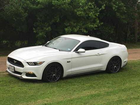 Ford Mustang 2016 Mustang, 2016 Ford Mustang, Car Ideas, First Car, Ford Mustang, Mustang, Bmw Car, Ford, Bmw