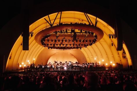 dear 13 year old laufey, you sold out the hollywood bowl!! 🤍 thank you all for the very best night of my life 😚 📷 @nicolemago Hollywood Bowl Aesthetic, Bowl Aesthetic, Hollywood Bowl, The Hollywood Bowl, Best Night Of My Life, Haim, Happier Than Ever, Year Old, Of My Life