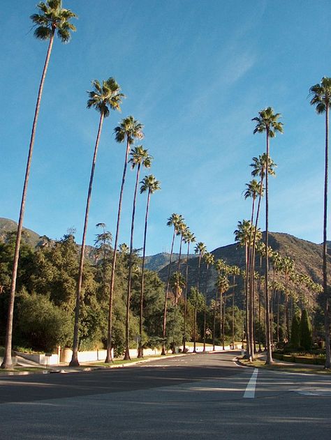 Altadena California, California English, Palm Tree Pictures, Damsel In Dior, Monterey Park, Southern California Beaches, Pasadena California, San Gabriel, California Love