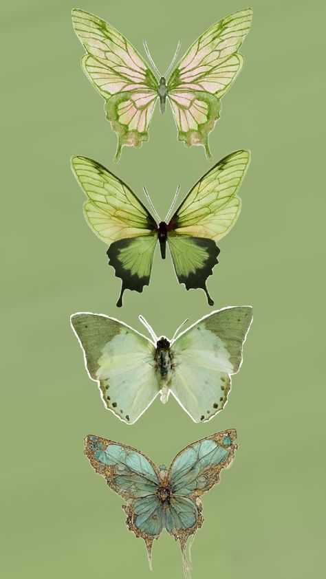 Green Buterfluffy, Green Butterfly Background, Green Butterfly Aesthetic, Green Fairy Aesthetic, Butterfly Aesthetic Wallpaper, Emerald Green Butterfly, Light Green Butterfly, Cute Shuffles, Butterfly Food