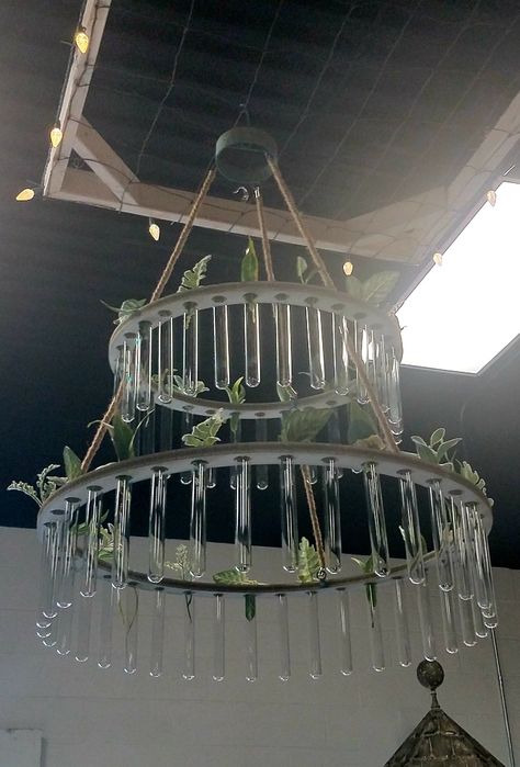 A propagaion chandelier I saw at a consignment shop.  No lights on it but two tears of propagating test tubes.  Really modern decorating look! Hanging Plant Centerpieces, Bathroom Propagation Wall, Propagation Tubes Diy, Propagation Chandelier, Test Tube Wall Decor, Test Tube Chandelier, Diy Test Tube Planter, Propagation Wall Decor, Test Tube Decor Ideas