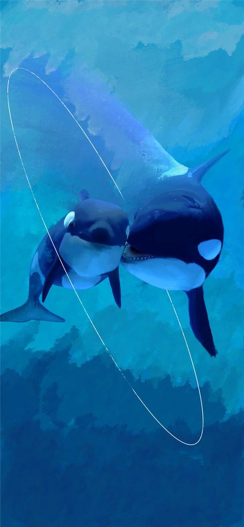 Phone Wallpaper Orca, Orca Lockscreen, Orca Iphone Wallpaper, Orca Wallpaper Aesthetic, Orca Wallpaper Iphone, Orca Whales Wallpaper, Orca Underwater, Orca Wallpaper, Orca Art