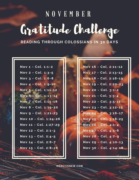 November Challenge, Bible Resources, Gratitude Challenge, Bible Study Methods, Bible Challenge, Personal Improvement, Bible Devotions, Daily Gratitude, Keep The Faith