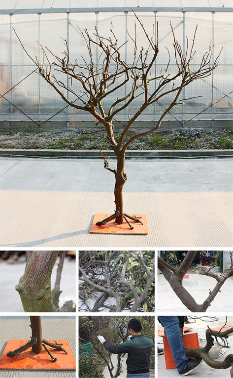 Dry Tree Branches Decoration, Branches Decoration, Tree Branch Crafts, Tree Branch Centerpieces, Dried Tree Branches, Artificial Flower Wall, Artificial Olive Tree, Branch Centerpieces, Hotel Garden