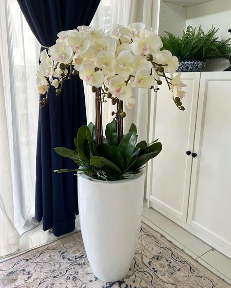 Floor orchids. Pot options white/gold. #theorkidsraya2024 RM650 A taste of class and elegance - #theorkids Class And Elegance, Artificial Orchids, Orchid Arrangements, House Rooms, Orchids, White Gold, Flooring, Gold, On Instagram