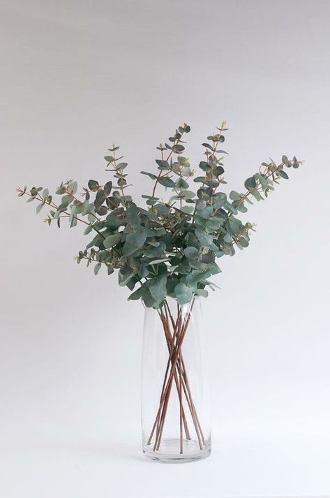 Eucalyptus Bouquet, Flower Vase Arrangements, Vase Arrangements, Plant Life, Faux Flowers, 인테리어 디자인, Plant Decor, Matilda, Pretty Flowers