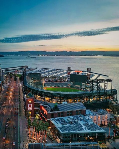 Oracle Park, Mlb Stadiums, San Francisco Photos, Baseball Stadium, San Francisco City, Sf Giants, City Scene, Wide World, Football Field