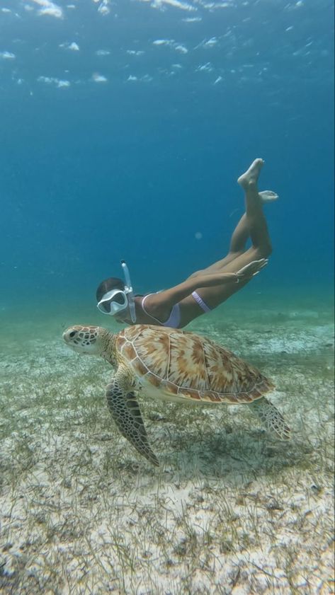 Snorkeling Pictures Aesthetic, Snorkel Aesthetic, Snorkeling Aesthetic, Diving Aesthetic, Snorkeling Pictures, Ocean Girl, Hawaii Life, Ocean Vibes, Summer Plans