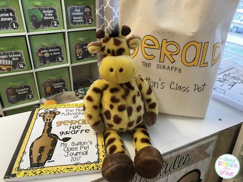 Meet Gerald the Giraffe - our class (stuffed) pet!!  Isn't he the cutest? Back in January, I got an "itch" to have a class pet for... Preschool Class Mascot Ideas, Classroom Stuffed Animal Take Home, Class Mascot Ideas, Class Pet Stuffed Animal, Class Pet Ideas, Gerald The Giraffe, Class Pets, Pet Journal, Preschool Organization