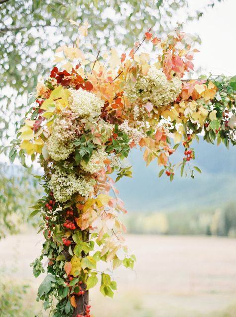 Fall Lovers, Ss 2024, Wedding Arches, Arch Flowers, Events Photography, Whimsical Wedding, Wedding Florals, Fall Color, Wedding Floral