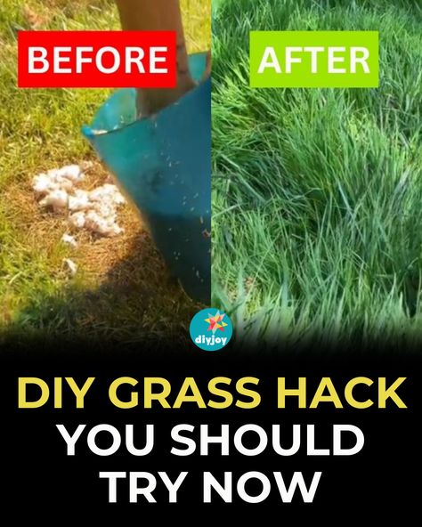 Have some dead patches of grass in your lawn and don't know how to fix it? Give this DIY grass hack a try to restore your lawn. How To Remove Grass, Fall Hanging Baskets, Water Grass, Seeding Lawn, Grass Stains, Mosaic Birdbath, Diy Projects For Teens, Diy Lawn, Household Management