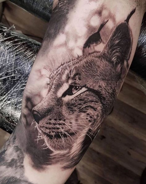 Cat Sleeve Tattoo, Lynx Tattoo, Cat Tats, Tattoo Gato, Lynx Kitten, Cat Portrait Tattoos, Colorado Tattoo, Big Cat Tattoo, Caracal Cat