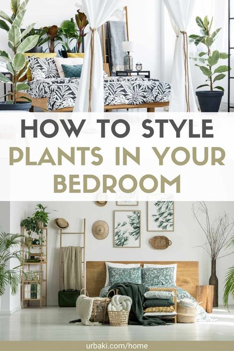 Bedroom Plants Decor Ideas Cozy, Live Plants In Bedroom, Plants In Master Room, Master Bedrooms Decor Plants, Plant Placement In Bedroom, Plants In Bedroom Decor, Real Plants In Bedroom, Bedroom Houseplants Decor, Plants On Shelves Bedroom