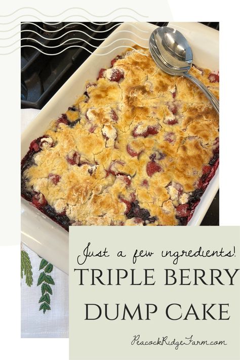 Berry Crisp Dump Cake, Dump And Bake Berry Cobbler, Berry Dump Cobbler, Fresh Fruit Dump Cake Recipes, Mixed Fruit Dessert Recipes, Mixed Berry Cobbler With Cake Mix Easy, Berry Cobbler Dump Cake, Cake With Fruit Recipes, Recipes Using Fresh Berries