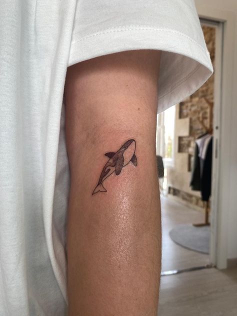 Small Marine Tattoos, See Turtle Tattoo, Marine Tatoos, Marine Animals Tattoo, Small Orca Tattoo, Ovean Tattoos, Marine Tattoo Ideas, Orca Tattoo Simple, Marine Biology Tattoo