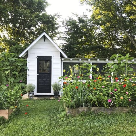 Backyard Coop, Small Chicken Coops, Cute Chicken Coops, Easy Chicken Coop, Chicken Coop Garden, Diy Chicken Coop Plans, Chicken Life, Coop Design, Chicken Coop Designs