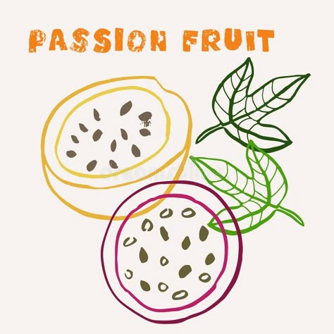 Hand Drawn Food Illustration, Passion Fruit Art, Passionfruit Illustration, Passion Fruit Tattoo, Passion Fruit Drawing, Passion Fruit Illustration, Fruit Line Drawing, Tattoo Flamingo, Fruit Line Art