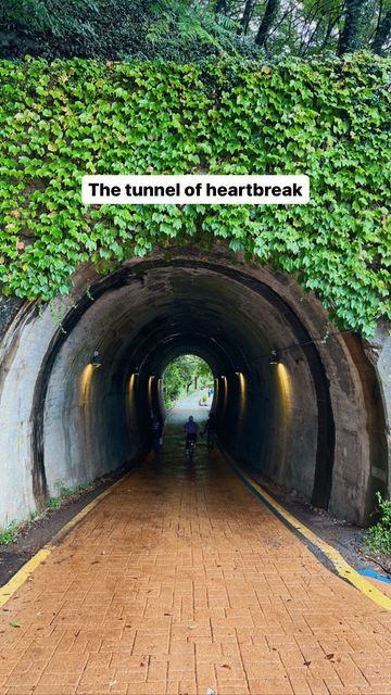 Deema Abu Naser🌸 Drama Community✨ on Instagram: "Trauma tunnel 😭😭😭 Who’s been personally heartbroken by this tunnel? 🙋🏻‍♀️🙋🏻‍♀️ (mememe) This tunnel actually wasn’t only featured in 2521- it was also in other dramas! Can anyone guess which ones? 👀 #kdrama #koreandrama #kdramalocation #southkoreatravel" Kdrama Places, Tunnel Aesthetic, Evergreen Fog, Dream University, Yonsei University, South Korea Travel, 25 21, Countries To Visit, Peaceful Places