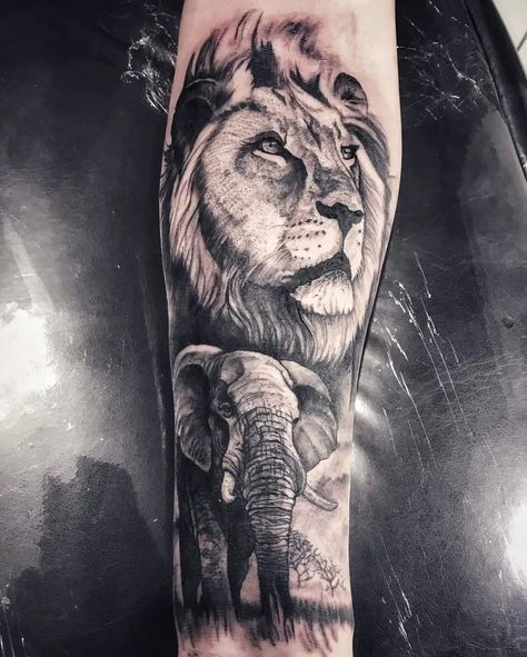 Lion And Elephant Tattoo Design, Tiger And Elephant Tattoo Together, Men’s Elephant Tattoo, Half Elephant Half Lion Tattoo, Half Elephant Face Tattoo, Elephant Tattoos Trunk Up, Elephant Lion Tattoo, Lion Elephant Tattoo, Lion And Elephant Tattoo