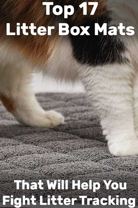 Cat Furniture Ideas, Stylish Cat Furniture, Kitten Tips, Kittens Care, Cat Litter Cabinet, Cat Litter Box Mats, Best Litter Box, Litter Tracking, Hypoallergenic Cats