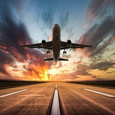 Traveling this summer? 5 ways to save money and nab last-minute flight deals Airplane Wallpaper, Emirates Airline, Airplane Photography, Cheap Vacation, Singapore Airlines, Domestic Flights, Delta Airlines, Qatar Airways, Airline Tickets