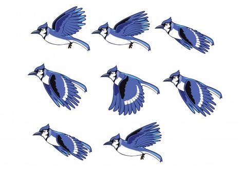 Blue Bird Flying, Fly Drawing, Black Bird Tattoo, Flying Bird Tattoo, Flying Tattoo, Blue Jay Bird, Black And White Birds, Bird Flying, Bird Houses Painted