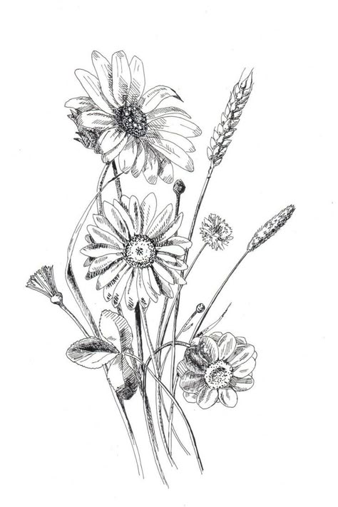 Flower Nature Drawing, Messy Flower Drawing, Tall Flower Drawing, Vintage Flower Sketch, Limonium Flower Drawing, Wild Flower Sketch, Pen Drawing Flower, Wild Flowers Drawing Sketch, Wildflower Drawing Tattoo