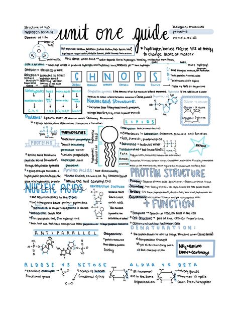 Ace your AP Biology AP Exam with this complete, condensed review of the material covered in Unit 1 of AP Biology! Study Guide Biology, Ap Biology Notes Chemistry Of Life, Ap Biology Unit 1 Notes, How To Study For Ap Biology, Biology For Beginners, Introduction To Biology Notes, Ap Bio Notes Unit 1, Biology Unit 1 Notes, Apush Unit 1 Notes