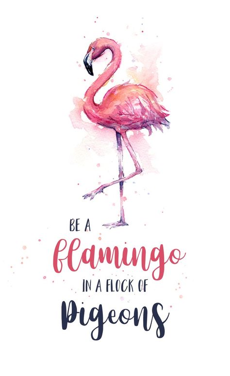 Be a flamingo in a flock of pigeons. Be A Flamingo In A Flock Of Pigeons, Flamingo Quotes, Flamingos Quote, Flock Of Pigeons, Be A Flamingo, Watercolor Typography, Flamingo Theme, Birthday Words, Flamingo Art