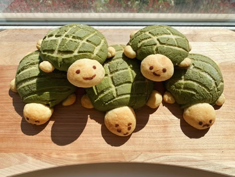 Matcha Turtle Bread, Turtle Conchas Recipe, Matcha Conchas, Cute Conchas Bread, Turtle Shaped Food, Turtle Conchas, Cottagecore Snacks, Cute Conchas, Turtle Bread Recipe