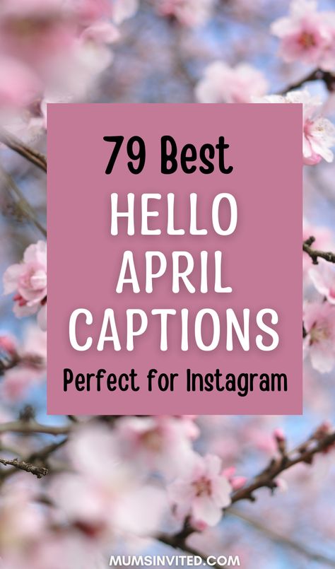 Celebrate the arrival of April with these inspiring month of April quotes, sayings & captions. You'll find inspirational, cute, funny, hilarious, short  April captions for April 1st, welcome April sayings and hello April quotes & captions perfect for Instagram and Facebook. Find the best Month of April quotes, sayings & captions to share with family & friends or to use for bullet journalling & Iphone wallpapers. Have a Happy April! April Showers Quotes, April Message Board Quotes, April Ig Captions, April Letter Board Quotes Funny, April Hashtags, April Letter Board Quotes, Happy April Quotes, Quotes About April, April Captions