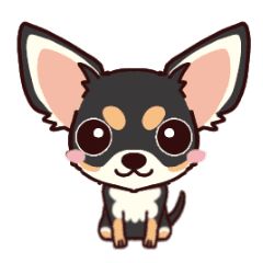 Black Chihuahua Art, Cute Chihuahua Drawing, Chihuahua Drawing Easy, Kawaii Chihuahua, Chihuahua Clipart, Chihuahua Cartoon, Chihuahua Illustration, Chihuahua Black, Chihuahua Drawing