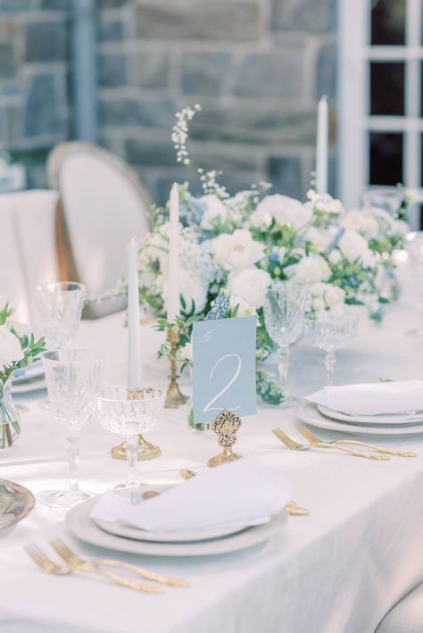 Unique Ceremony Chair Set Up, Sky Blue Wedding Reception, Diy Ideas For Wedding Decor, White Table With Gold Chairs, Wedding Decorations Light Blue, Something Blue Wedding Flowers, Blue And White Classic Wedding, Marian Blue Wedding, Blue White Green Tablescape