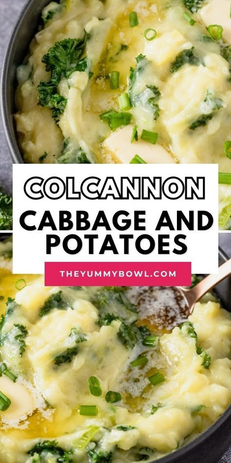 Experience the comforting flavors of Ireland with this Traditional Colcannon recipe! Made with creamy mashed potatoes, cabbage, and leeks, it's the perfect side dish for any meal. #Colcannon #IrishRecipes #ComfortFood #MashedPotatoes #TraditionalDishes Cream Chicken Recipes, Colcannon Recipe, Potatoes Cabbage, Classic Mashed Potatoes, Potatoes Mashed, Leek Recipes, How To Cook Kale, Cabbage And Potatoes, Irish Cuisine