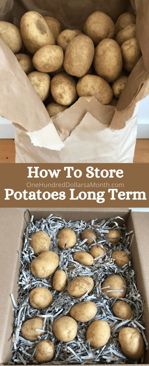 Storing Potatoes, Storing Food Long Term, Potato Storage, Storing Vegetables, How To Store Potatoes, Canned Food Storage, Long Term Food Storage, Fruit And Vegetable Storage, Vegetable Storage