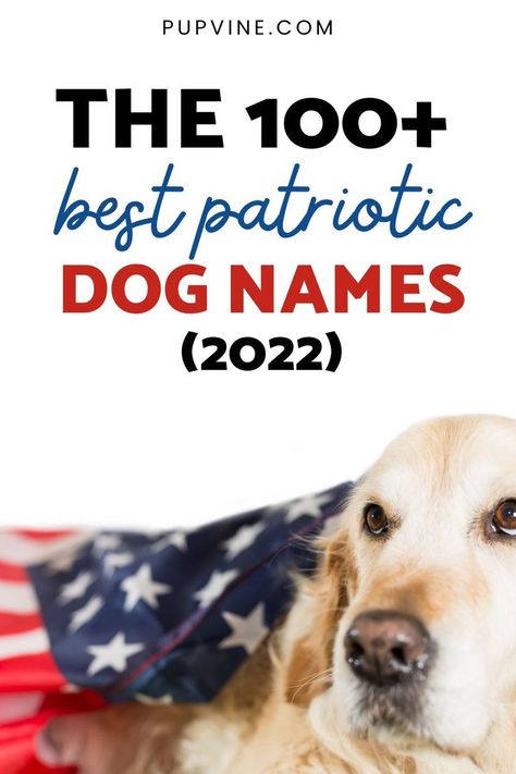 The 100+ best patriotic dog names of 2022: How to find the perfect patriotic name for your new best friend! Puppy Litter Theme Names, Police Dog Names, Patriotic Puppy, Popular Dog Names, Boy Dog Names, Girl Dog Names, Best Dog Names, Female Dog Names, Puppy Litter