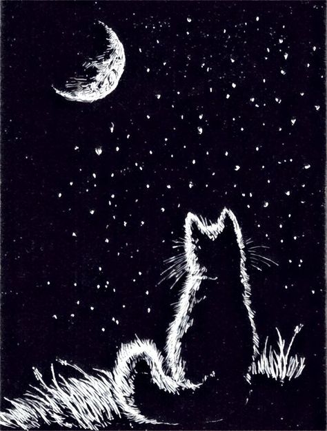 Lunaticat Scratchboard Art, Black Paper Drawing, 강아지 그림, Scratch Art, White Drawing, Black Cat Art, Cats Illustration, Black And White Drawing, Silhouette Art